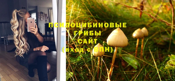 не бодяженный Алзамай