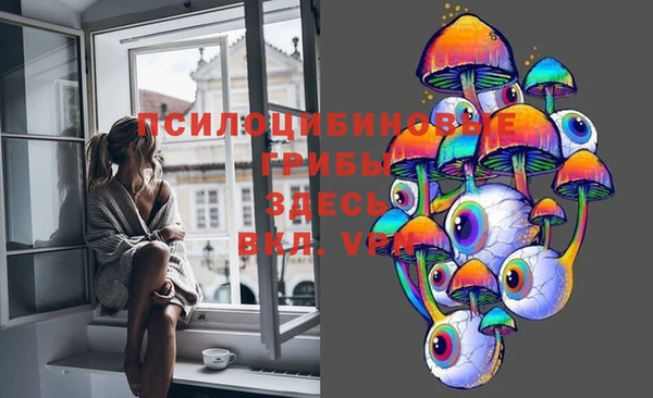 spice Надым