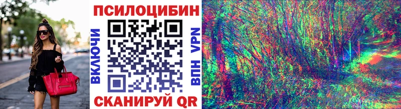 купить наркоту  Серов  Галлюциногенные грибы Psilocybine cubensis 