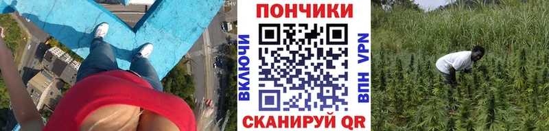Бошки марихуана Ganja блэк спрут рабочий сайт Серов